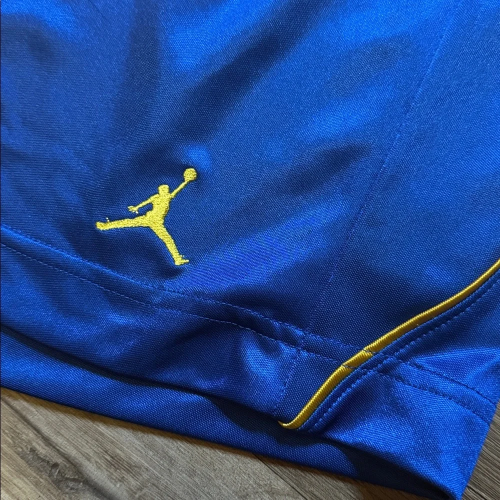 Y2K Jordan Laney Silky Dazzle Shimmer Shorts